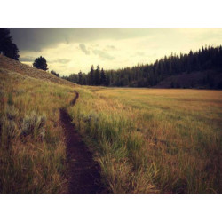 Intelligent Silk Bag fr-FR